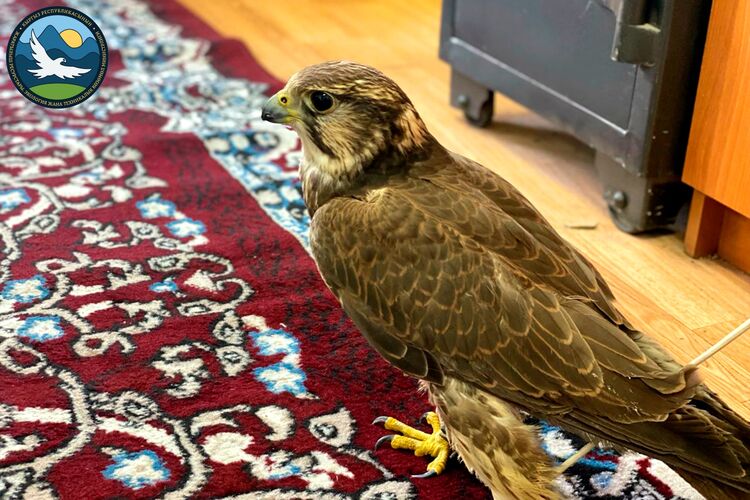 пресс-службы Минприроды