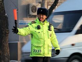 Schools, universities in Bishkek to temporarily switch to online learning