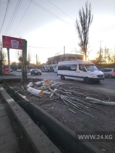 читательницы 24-kg.com