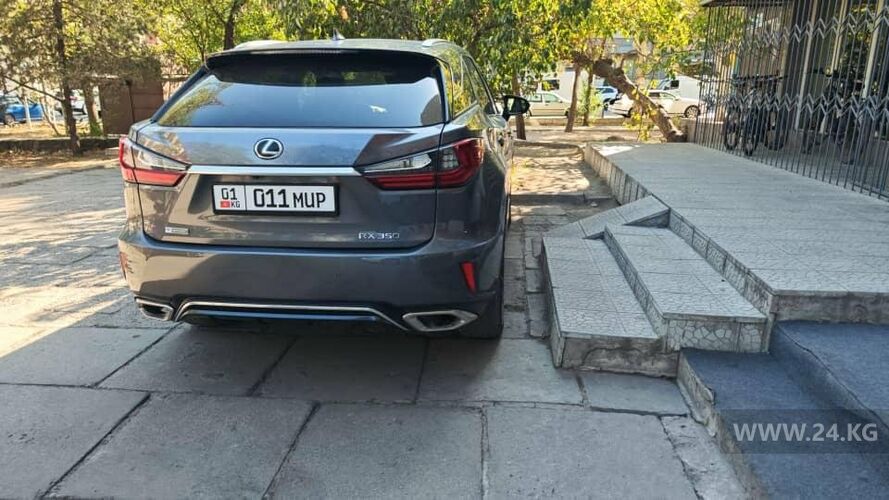 читателя 24-kg.com