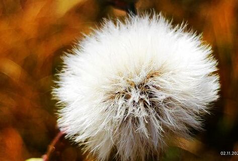 Озеро Кель-Суу и&nbsp;ноябрьский Бишкек. Фото и&nbsp;видео читателей 24-kg.com 