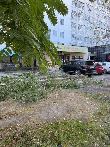 из интернета