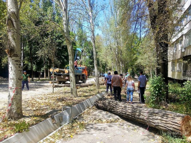 читателя 24-kg.com