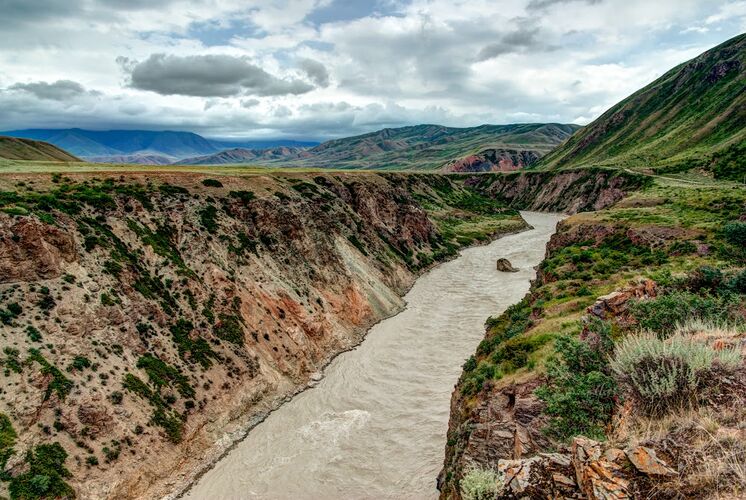 иллюстративное