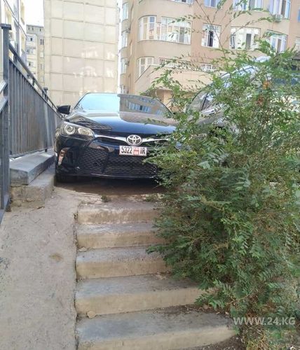 читателя 24-kg.com