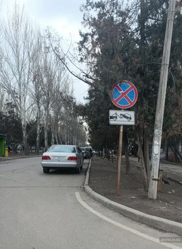 читателя 24-kg.com