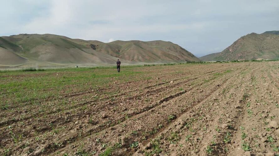 пресс-службы Минсельхоза