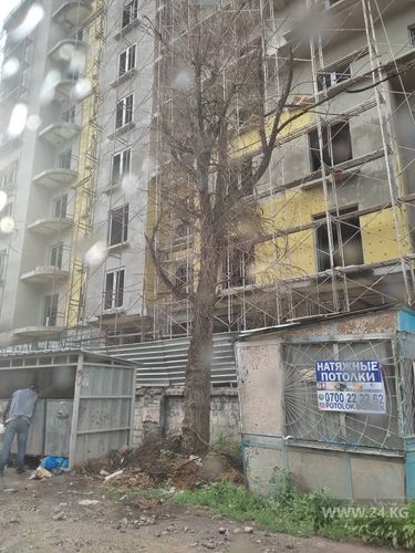 читателя 24-kg.com