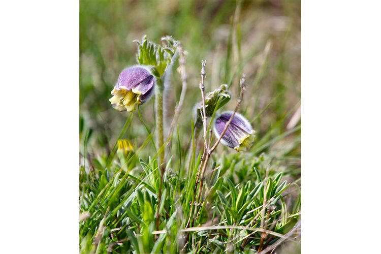 из архива Нели Омаровой