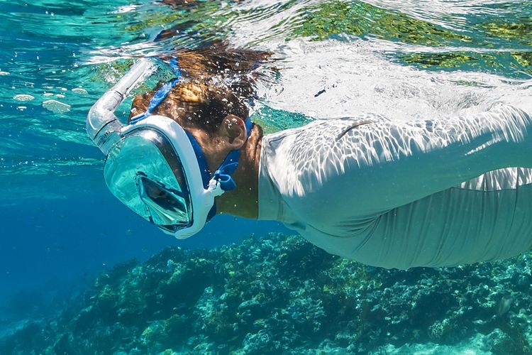 из интернета