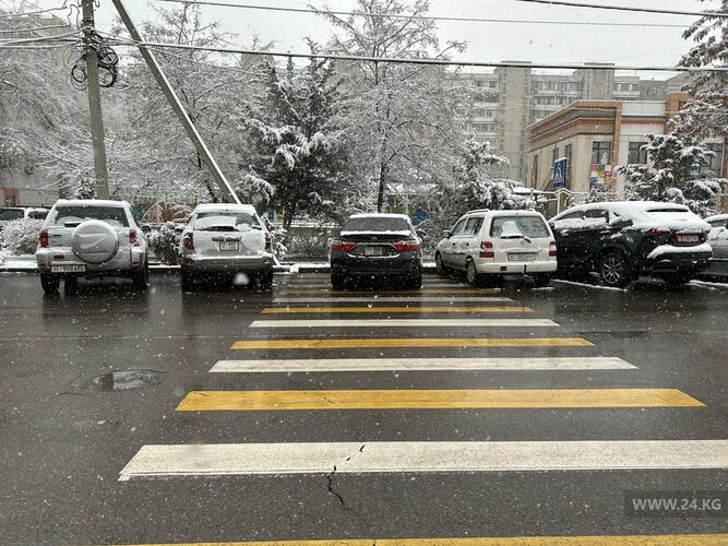 читателя 24-kg.com