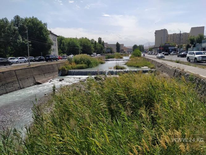 читателя 24-kg.com