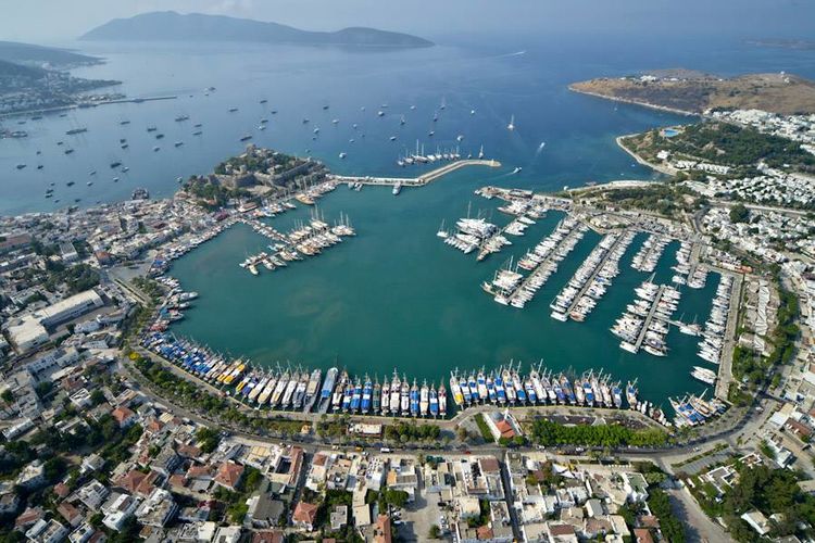 из интернета