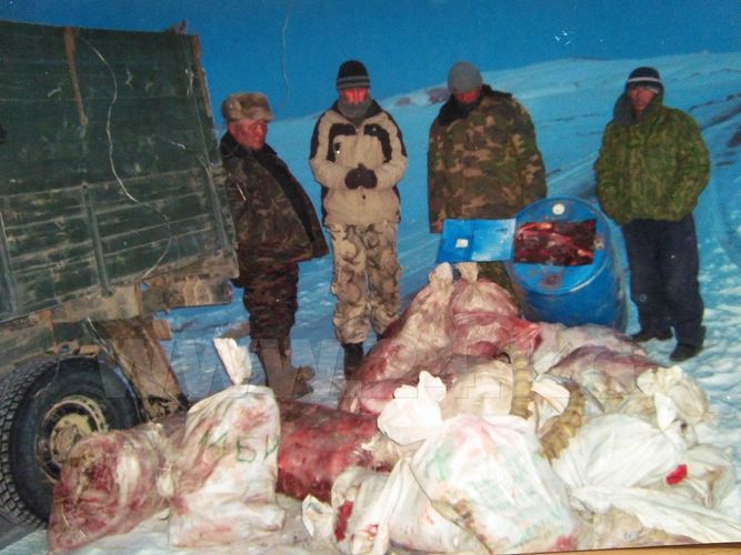 Аскара Давлетбакова