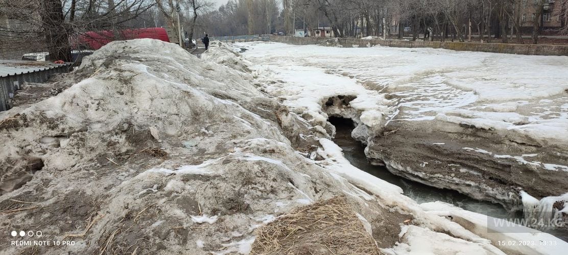 читателя 24-kg.com