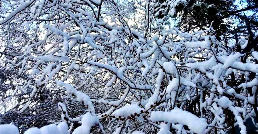 В&nbsp;Бишкеке ожидается снег. Прогноз погоды на&nbsp;15-18 января 