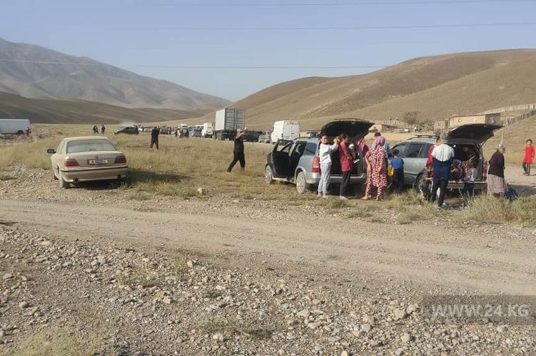 читателей 24-kg.com