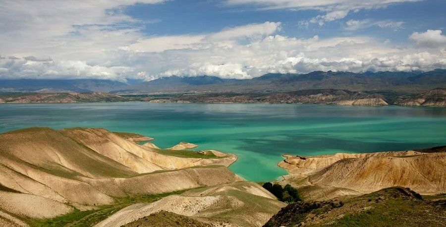 иллюстративное