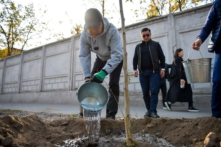 мэрии Бишкека