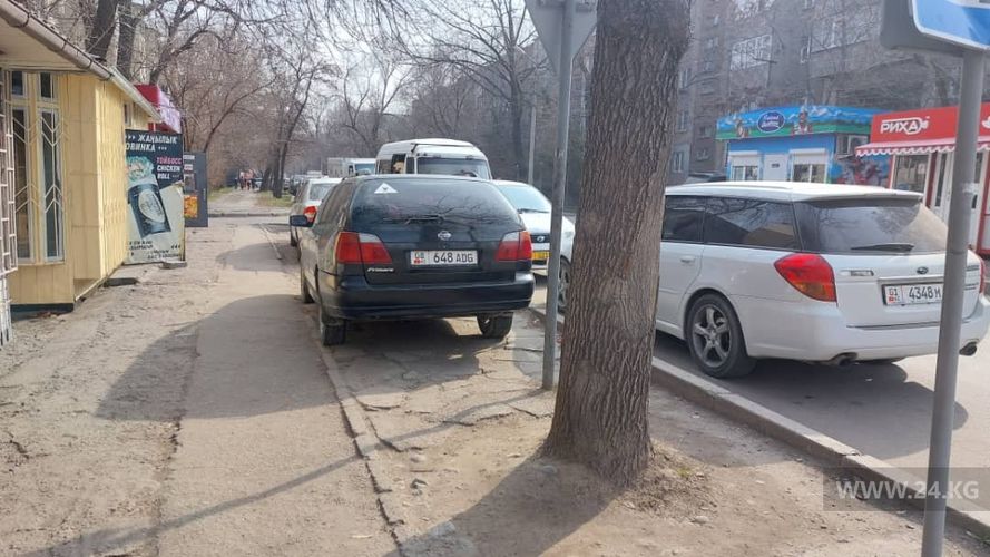 читателя 24-kg.com