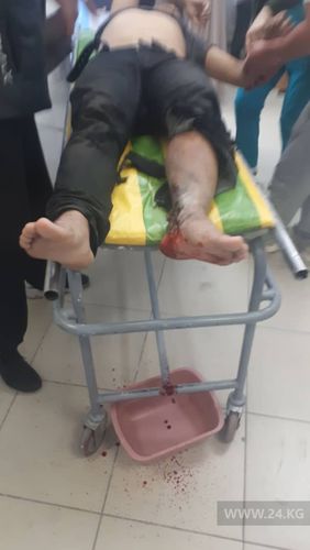 читателя 24-kg.com