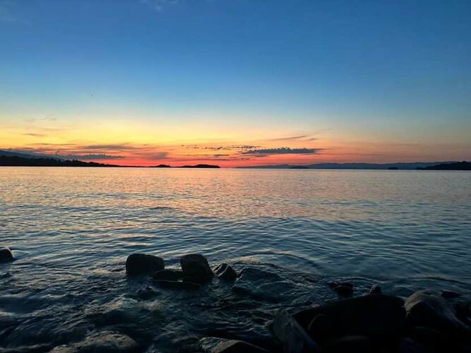 иллюстративное