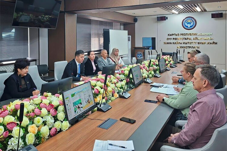 Томской областной администрации