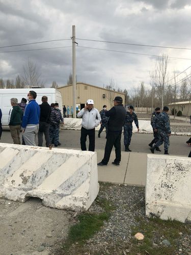 читателей 24-kg.com 