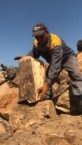 мэрии Бишкека