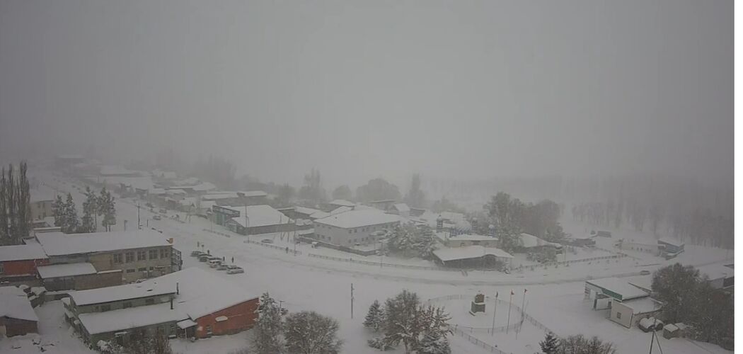 из интернета