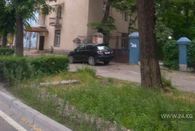 читателя 24-kg.com