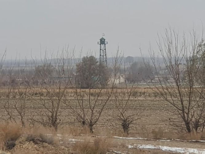 из интернета