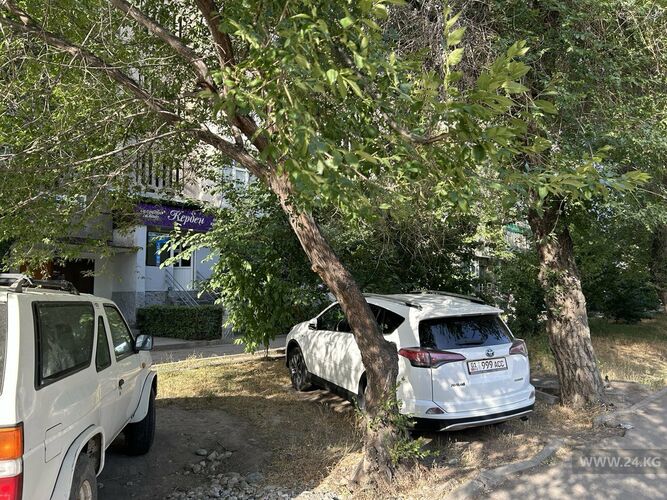 читателя 24-kg.com