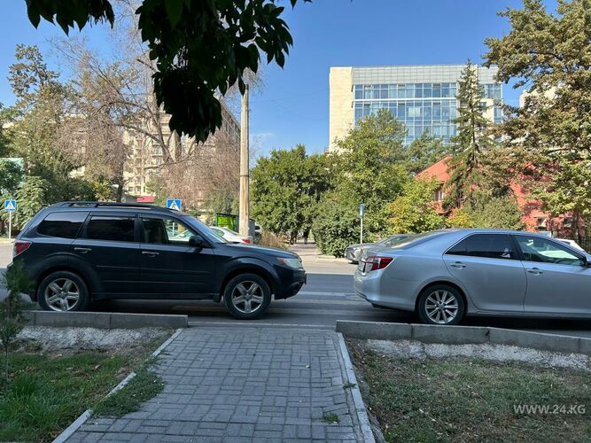 читателя 24-kg.com