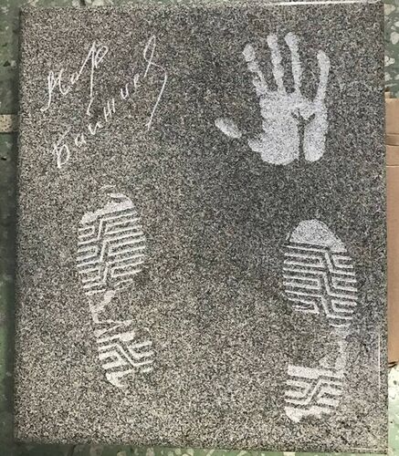 из интернета