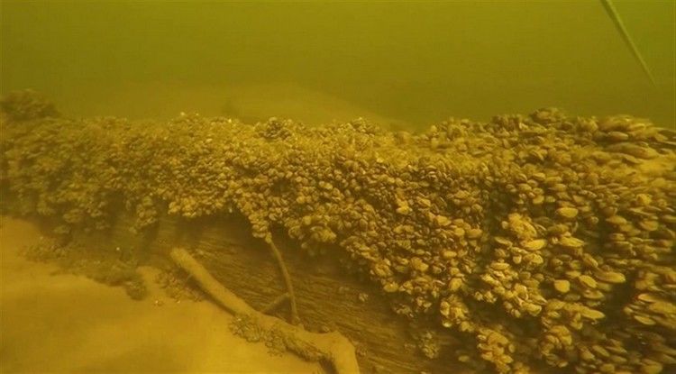 пресс-службы СамГТУ