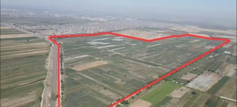 иллюстративное