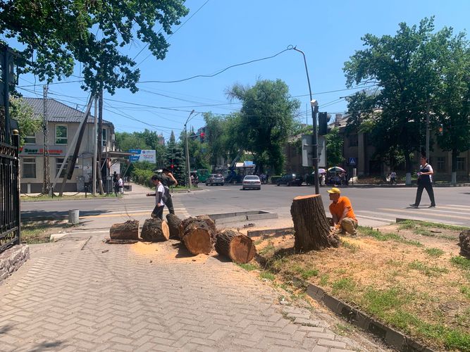 Twitter/Adilet Bektursunov