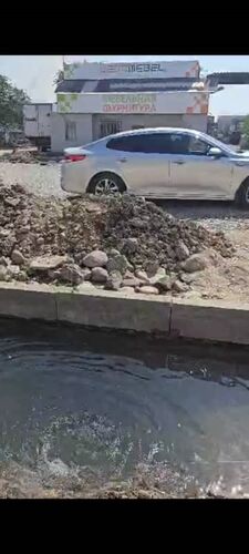 горожанина