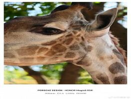 Honor разрабатывает внешний телеобъектив для смартфона 