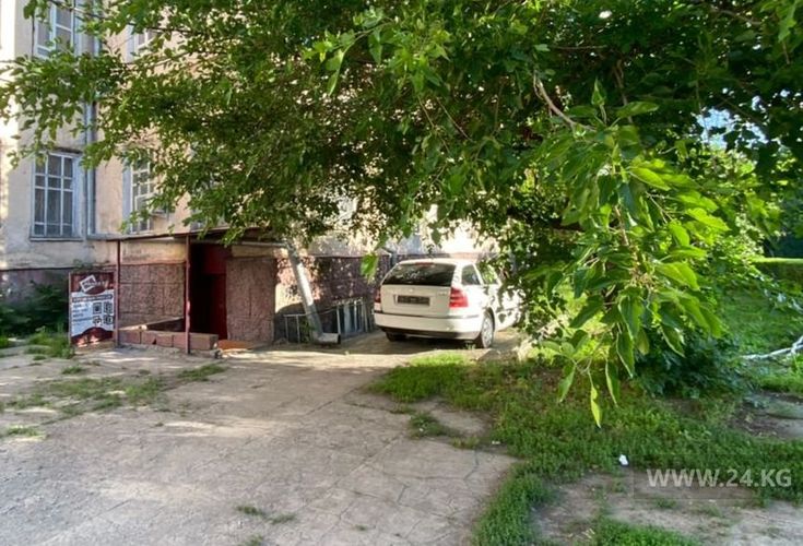 читателя 24-kg.com