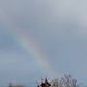 Фото читателя 24-kg.com. Радуга в декабре