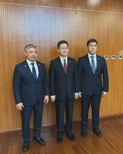 из соцсетей Мелиса Тургунбаева