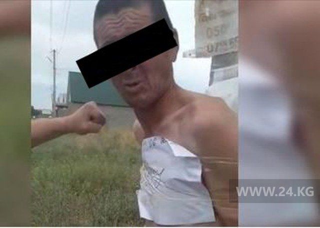 из интернета