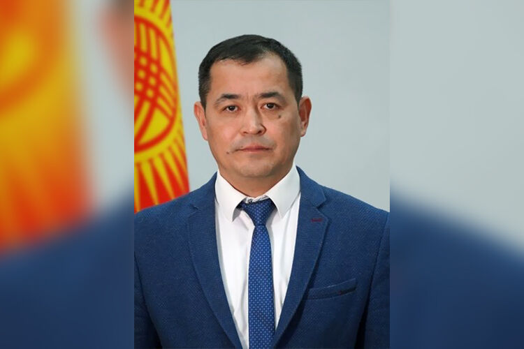 из интернета