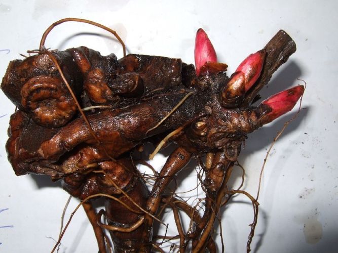 пресс-службы ПС ГКНБ