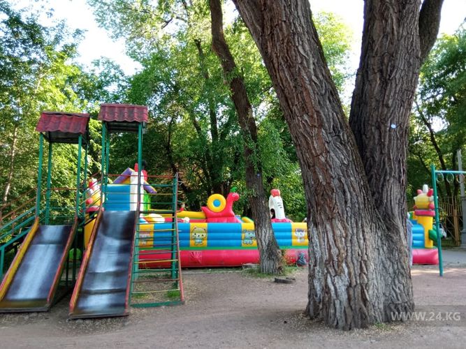 читателя 24-kg.com