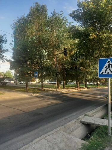 Окурман сүрөтү