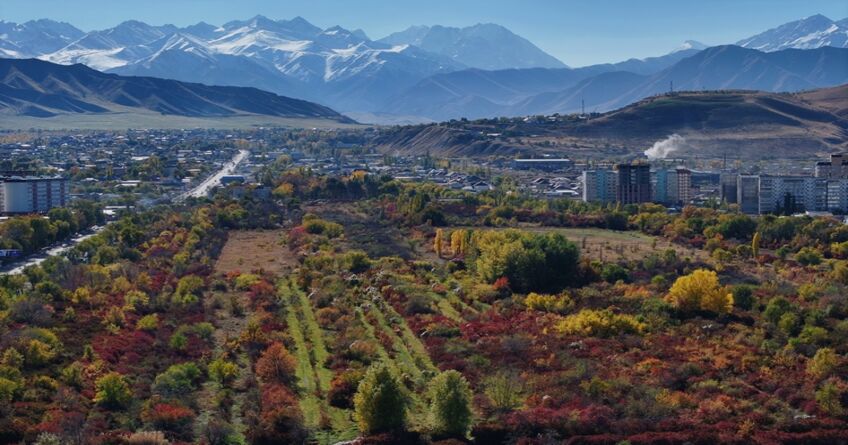 &laquo;Что осталось от&nbsp;Ботанического сада?&raquo; В&nbsp;Сети обсуждают новое тревожное видео 