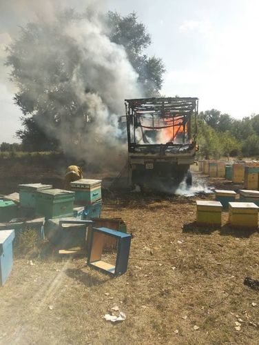 пресс-службы МЧС